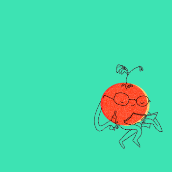 Libros para la contemplación